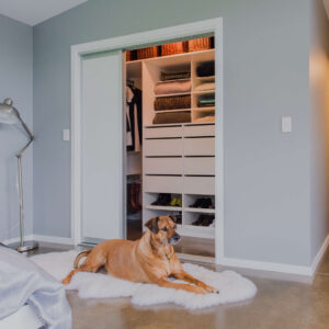 DOG (002) Stash 662