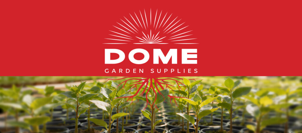 DGS Nursery Banner 728