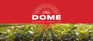 DGS Nursery Banner 728